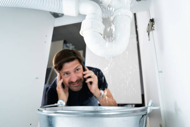 Best Affordable Plumber Near Me  in Lakewood Clu, MI